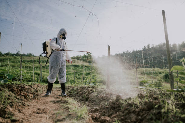 Best Wasp Removal Services  in Farmersville, CA