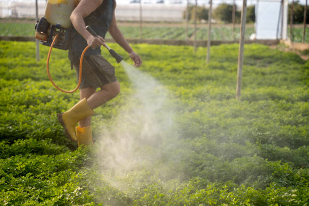 Best Exterminator Services  in Farmersville, CA