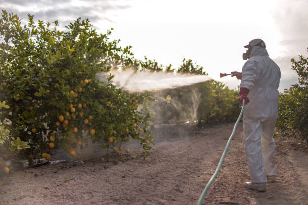 Best Emergency Pest Control  in Farmersville, CA