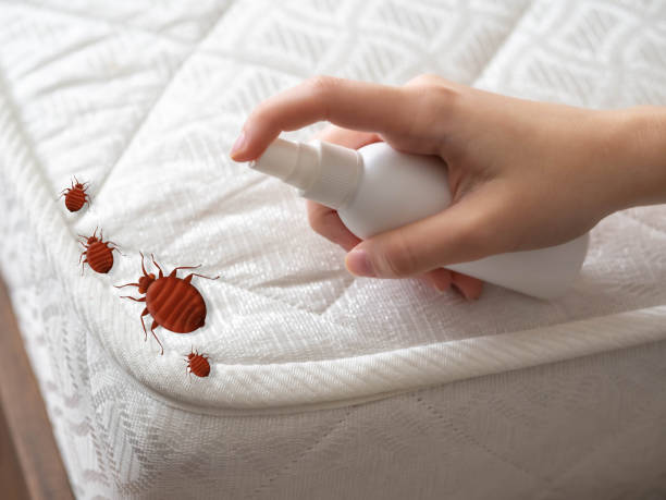  Farmersville, CA Pest Control Pros
