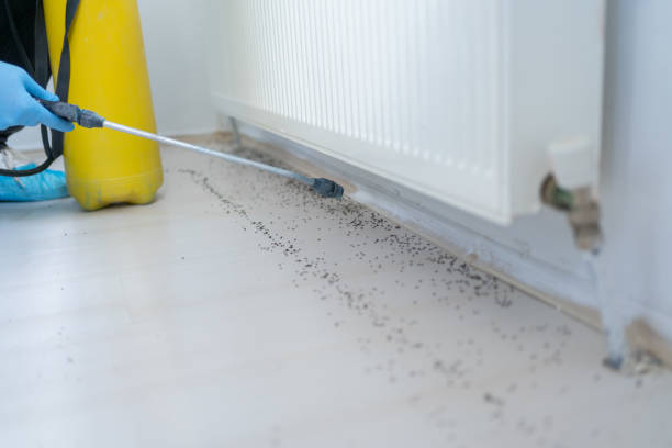 Best Affordable Pest Control Services  in Farmersville, CA