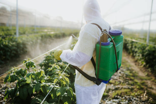 Best Insect Control  in Farmersville, CA